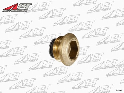 Oil sump plug differential + gearbox 750 / 101 / 105