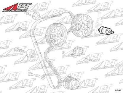 Rebuilt phase variator TS 16V Engines (exchange part)