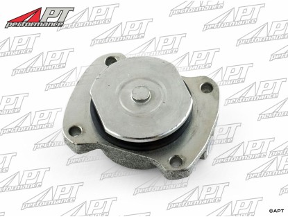 Brake piston with cylinder rear  15/16 Flavia / Fulvia