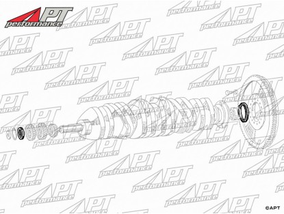 Kit Crankshaft seals Maserati 6 - cylinder R6