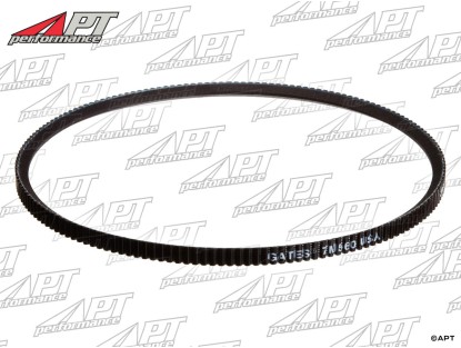 Fan belt servo steering Ferrari 365 GTC4 / 400 / 412