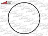 Fan belt for lower alternator Ferrari 400 / 412
