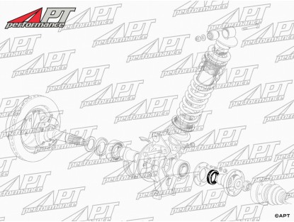 Oil Seal ring Ferrari drive shaft / hub cap