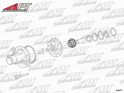 Water pump seal Ferrari 348 / 550 / 456 / 612
